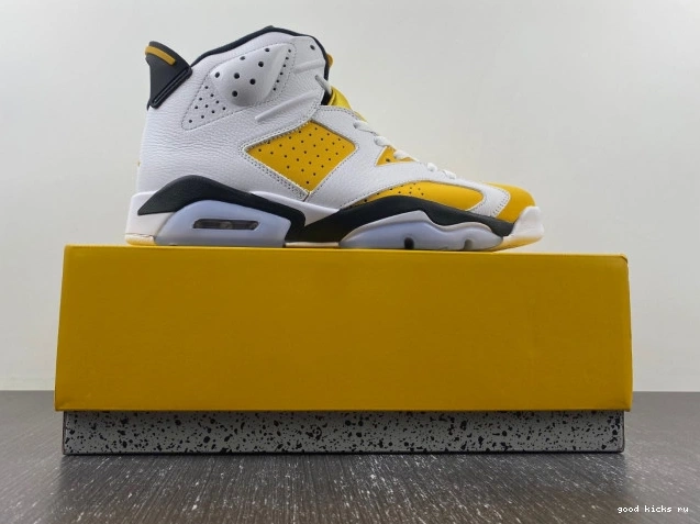 Jordan Air Yellow 6 CT8529-170 Ochre 0705